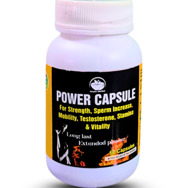 Stamina Power Capsule